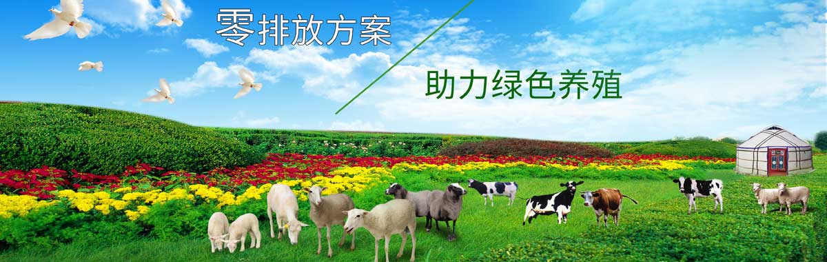 &#22825;&#21338;&#32593;&#39029;&#29256;&#45;&#22825;&#21338;&#40;&#20013;&#22269;&#41;